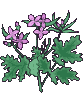AN681.gif (10469 octets)